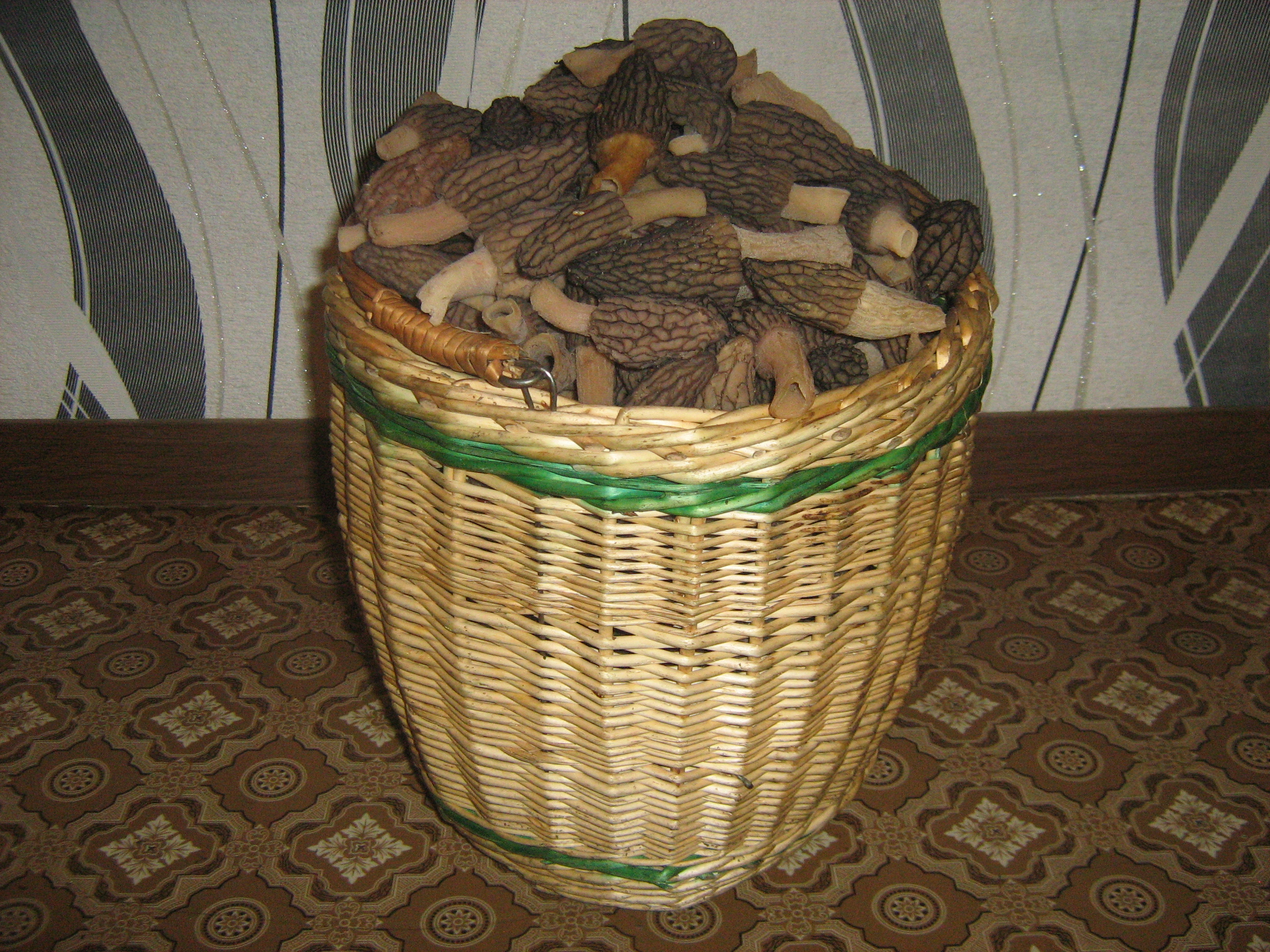 https://forumstatic.ru//uploads/0017/28/55/12/608848.jpg