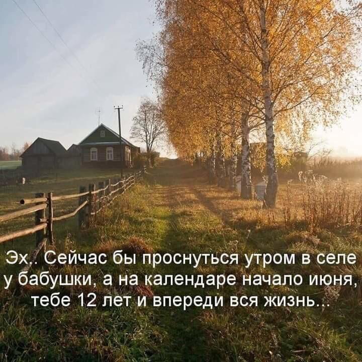 https://forumstatic.ru//uploads/0017/28/55/12/972650.jpg