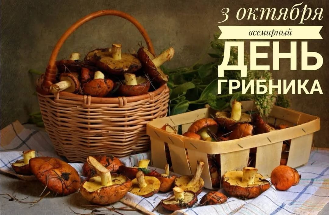https://forumstatic.ru//uploads/0017/28/55/1329/319858.jpg