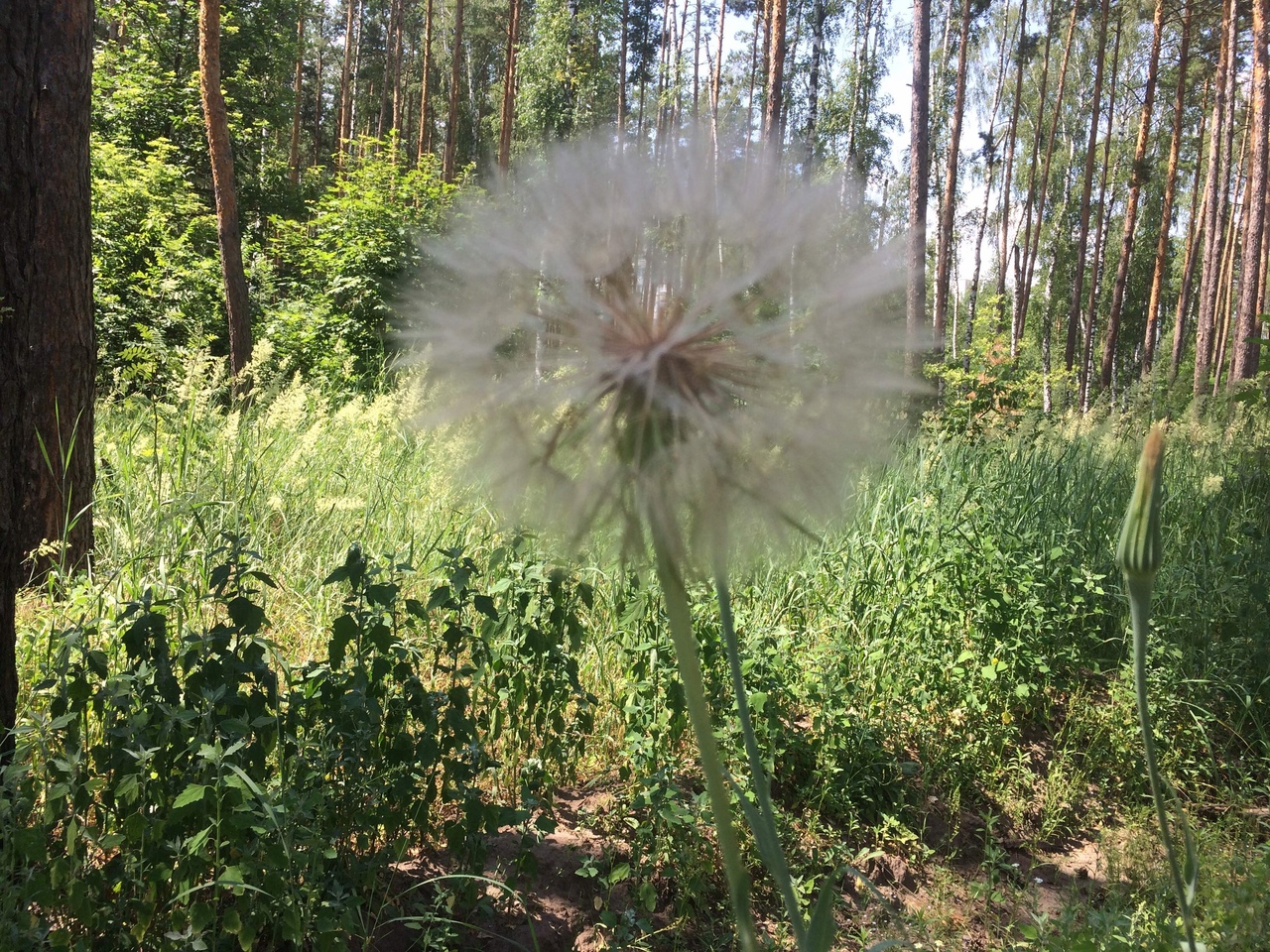 https://forumstatic.ru//uploads/0017/28/55/1329/817632.jpg