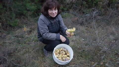https://forumstatic.ru//uploads/0017/28/55/1371/t181834.jpg