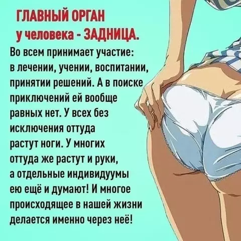 https://forumstatic.ru//uploads/0017/28/55/1371/t425501.webp