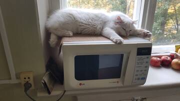 https://forumstatic.ru//uploads/0017/28/55/1371/t485161.jpg