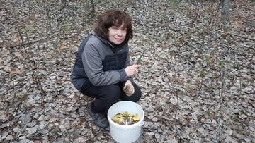 https://forumstatic.ru//uploads/0017/28/55/1371/t78037.jpg