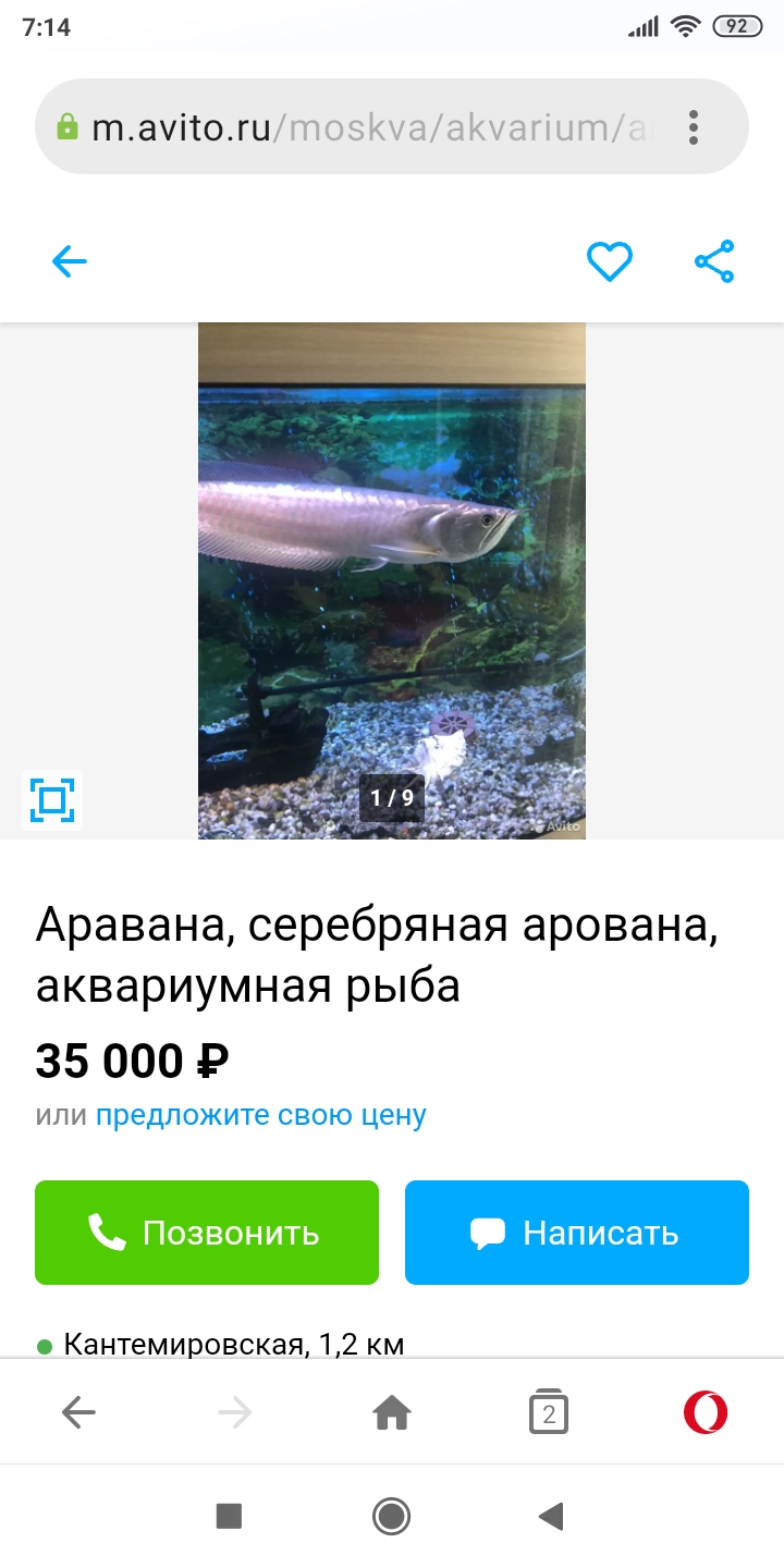 https://forumstatic.ru//uploads/0017/28/55/15/212854.jpg