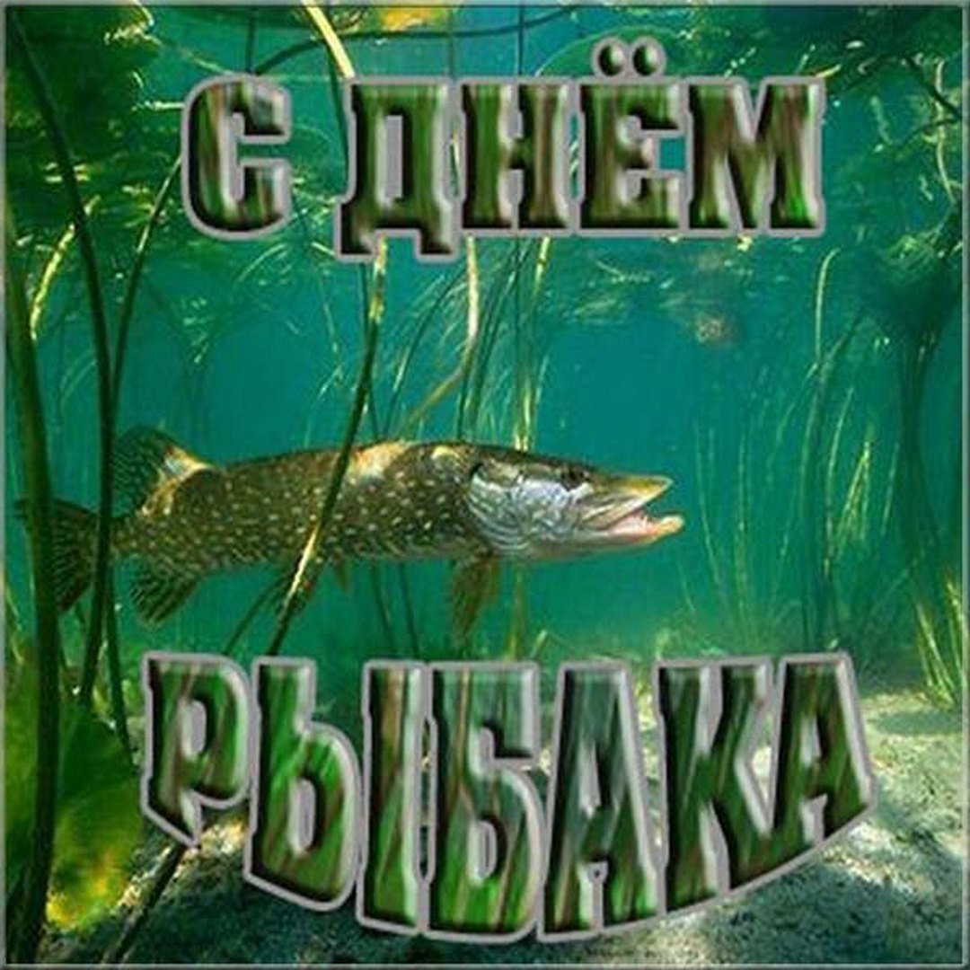 https://forumstatic.ru//uploads/0017/28/55/15/289235.jpg