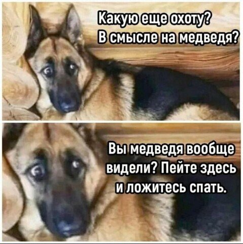 https://forumstatic.ru//uploads/0017/28/55/15/363545.jpg
