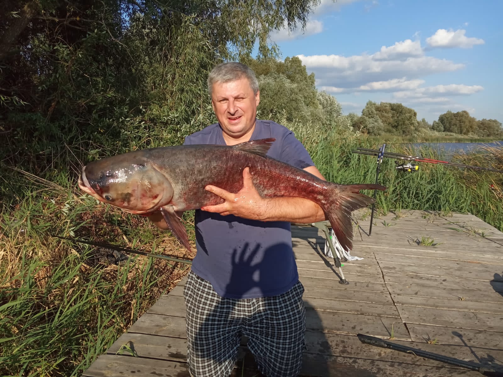 https://forumstatic.ru//uploads/0017/28/55/15/781599.jpg