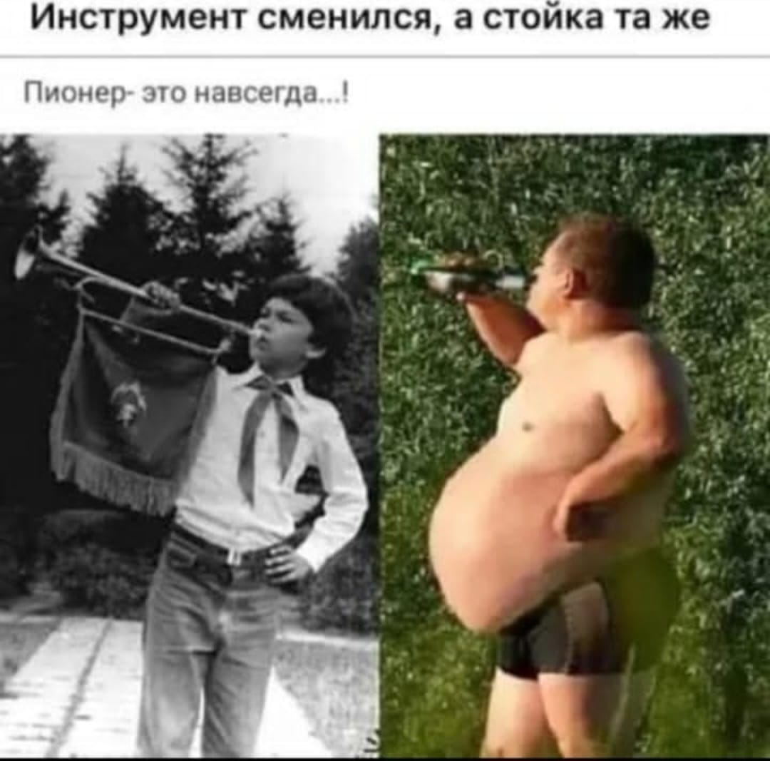 https://forumstatic.ru//uploads/0017/28/55/155/316368.jpg