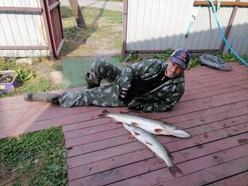 https://forumstatic.ru//uploads/0017/28/55/1604/t24925.jpg