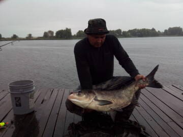 https://forumstatic.ru//uploads/0017/28/55/1627/t152677.jpg