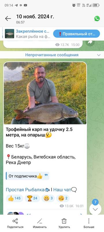 https://forumstatic.ru//uploads/0017/28/55/1627/t956791.jpg