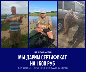https://forumstatic.ru//uploads/0017/28/55/1678/t955203.png