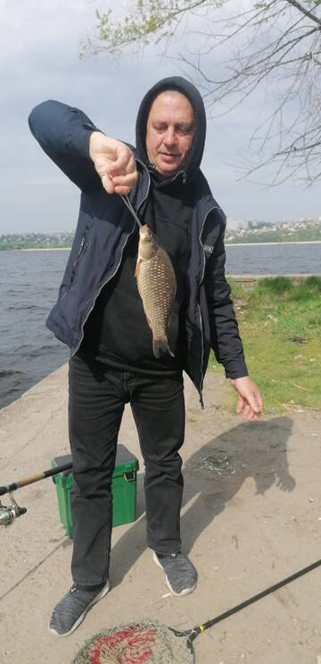 https://forumstatic.ru//uploads/0017/28/55/1909/t988190.jpg