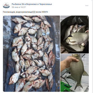 https://forumstatic.ru//uploads/0017/28/55/2148/t131980.png