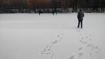 https://forumstatic.ru//uploads/0017/28/55/2148/t194986.jpg