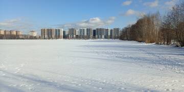 https://forumstatic.ru//uploads/0017/28/55/2148/t201873.jpg