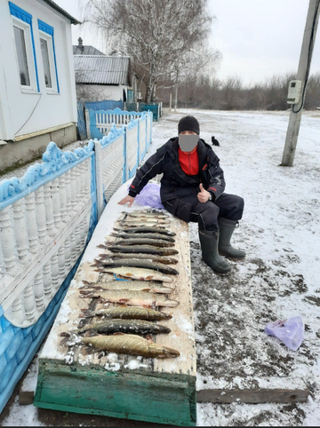 https://forumstatic.ru//uploads/0017/28/55/2148/t286180.png