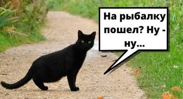 https://forumstatic.ru//uploads/0017/28/55/2148/t448429.jpg