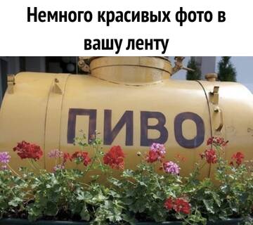https://forumstatic.ru//uploads/0017/28/55/2148/t506390.jpg