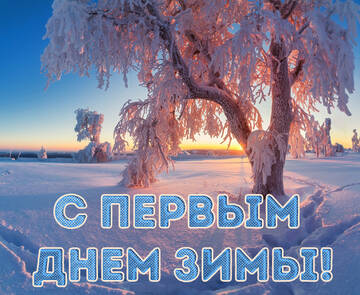 https://forumstatic.ru//uploads/0017/28/55/2148/t772567.jpg