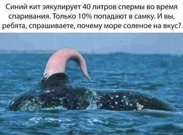 https://forumstatic.ru//uploads/0017/28/55/2148/t891736.jpg