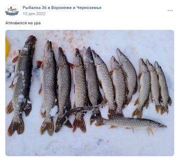 https://forumstatic.ru//uploads/0017/28/55/2148/t974306.png