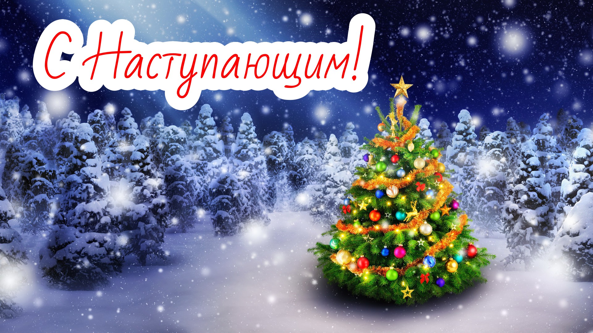 https://forumstatic.ru//uploads/0017/28/55/2218/205013.jpg