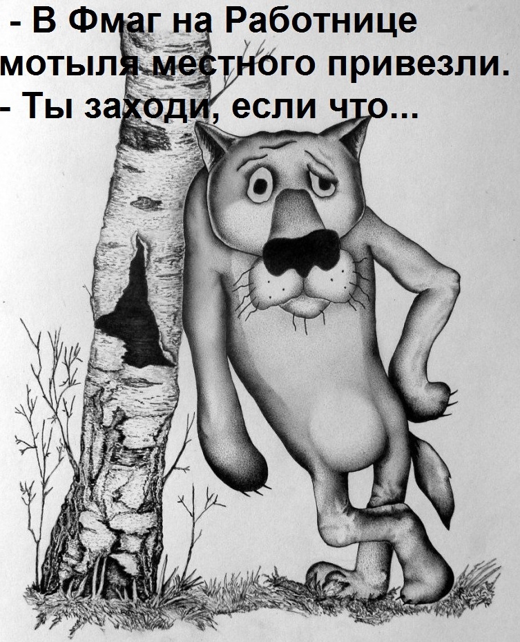https://forumstatic.ru//uploads/0017/28/55/2218/726980.jpg