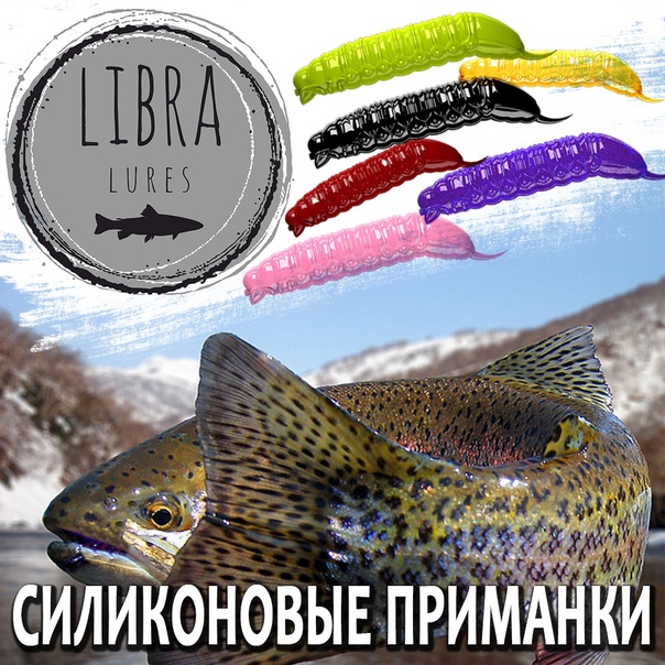 https://forumstatic.ru//uploads/0017/28/55/2218/847509.jpg