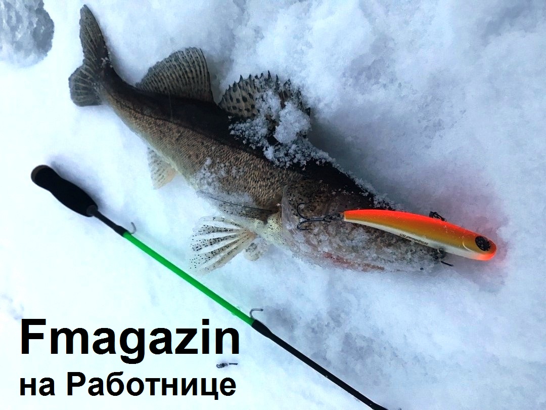 https://forumstatic.ru//uploads/0017/28/55/2218/870171.jpg