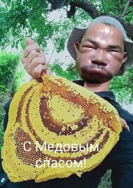 https://forumstatic.ru//uploads/0017/28/55/23/898200.jpg