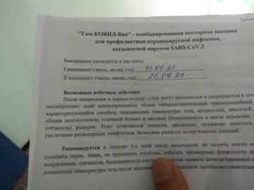 https://forumstatic.ru//uploads/0017/28/55/23/t713946.jpg