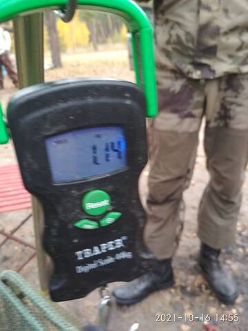 https://forumstatic.ru//uploads/0017/28/55/23/t854598.jpg