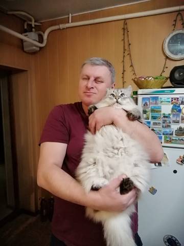 https://forumstatic.ru//uploads/0017/28/55/23/t914785.jpg