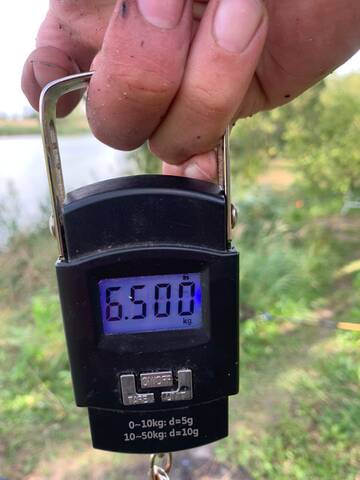 https://forumstatic.ru//uploads/0017/28/55/237/t748136.jpg