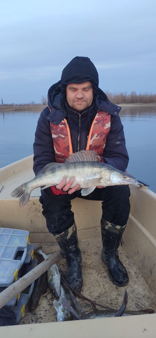 https://forumstatic.ru//uploads/0017/28/55/2467/605201.jpg