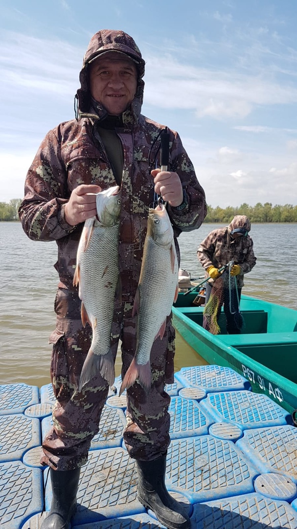 https://forumstatic.ru//uploads/0017/28/55/2467/732583.jpg