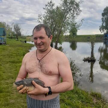https://forumstatic.ru//uploads/0017/28/55/2487/t211029.jpg