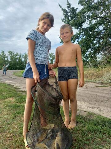 https://forumstatic.ru//uploads/0017/28/55/2487/t249194.jpg