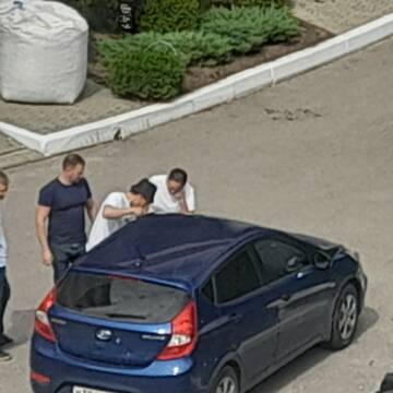 https://forumstatic.ru//uploads/0017/28/55/2487/t627816.jpg
