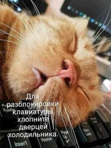 https://forumstatic.ru//uploads/0017/28/55/2555/t515220.jpg