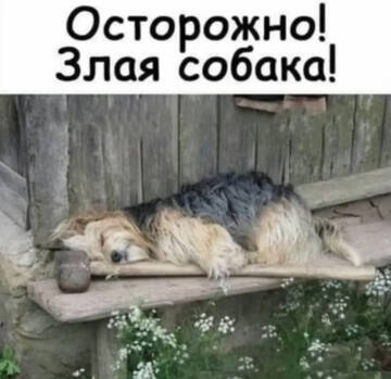 https://forumstatic.ru//uploads/0017/28/55/2555/t692048.jpg
