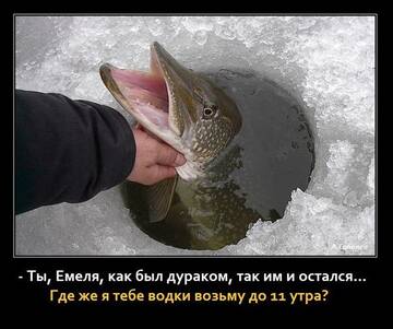 https://forumstatic.ru//uploads/0017/28/55/2555/t81505.jpg