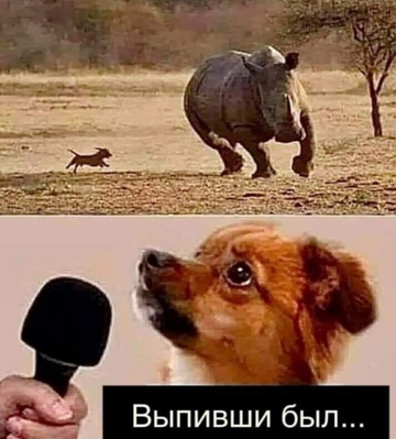 https://forumstatic.ru//uploads/0017/28/55/2555/t928831.png