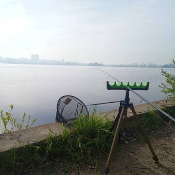 https://forumstatic.ru//uploads/0017/28/55/26/t703397.jpg