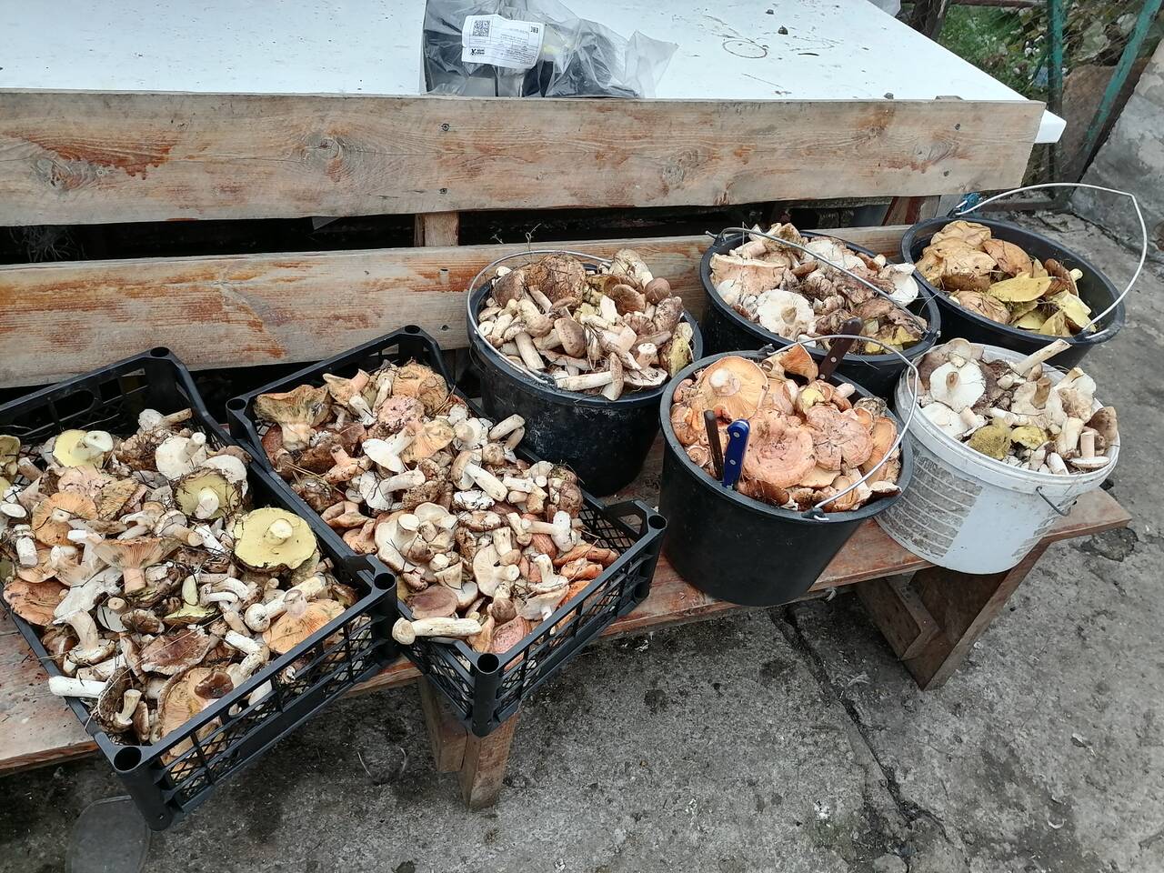 https://forumstatic.ru//uploads/0017/28/55/274/198980.jpg