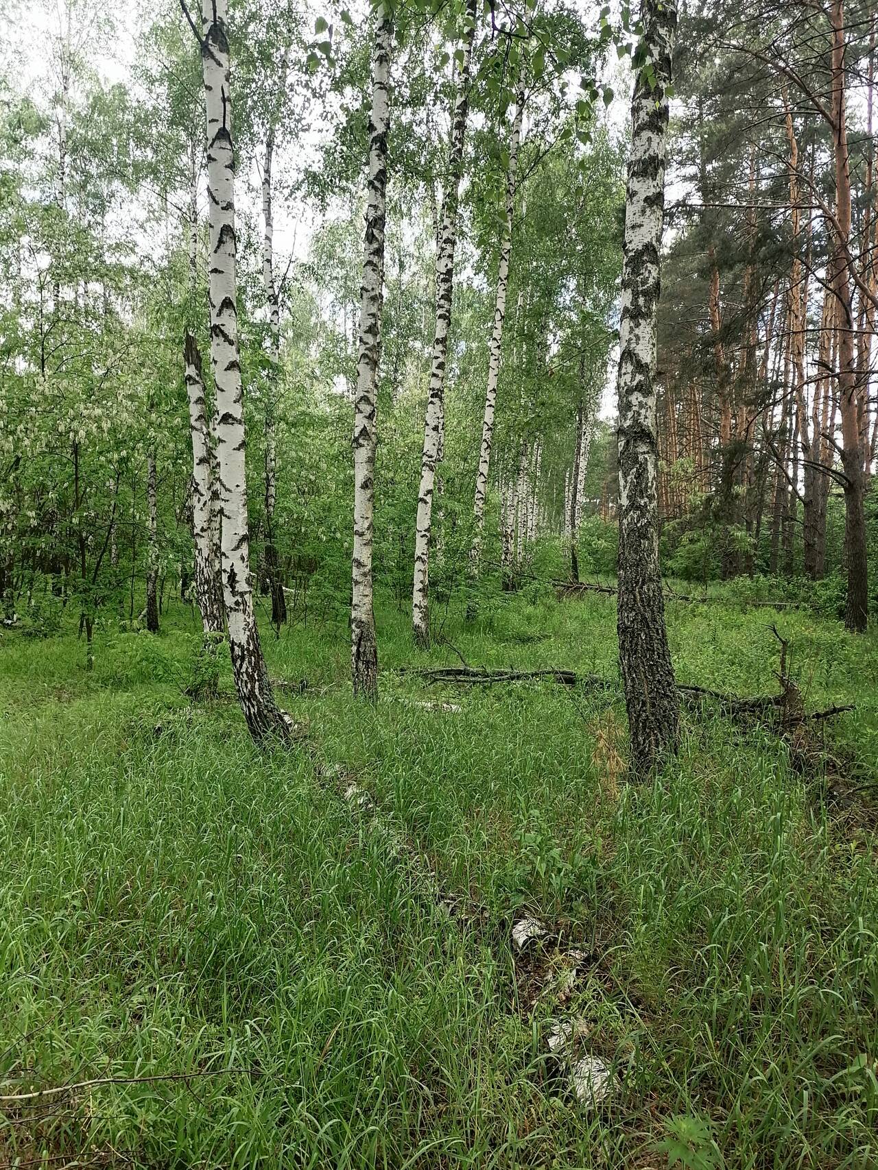 https://forumstatic.ru//uploads/0017/28/55/274/455887.jpg
