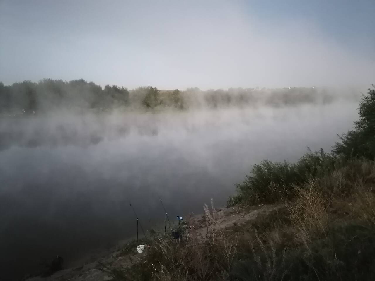 https://forumstatic.ru//uploads/0017/28/55/274/476813.jpg