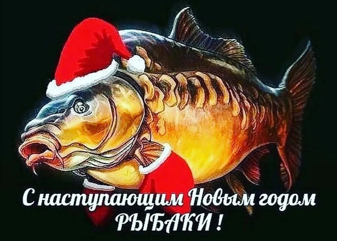 https://forumstatic.ru//uploads/0017/28/55/274/83759.jpg